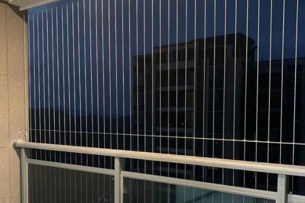 IMG_20250710_204921_(600_x_400_pixel)