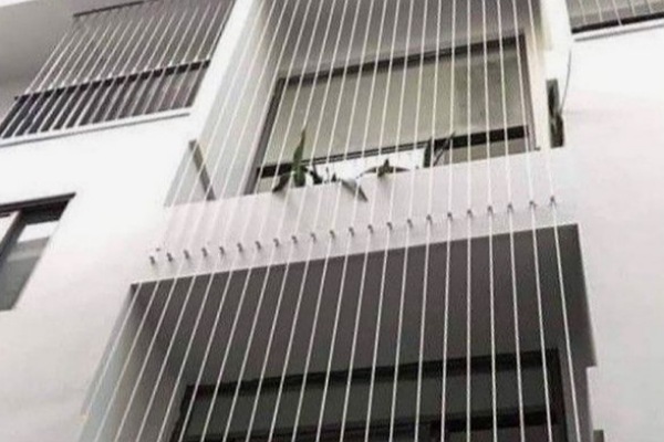 IMG_20250710_205118_(600_x_400_pixel)