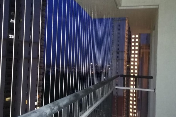 IMG_20250710_205128_(600_x_400_pixel)