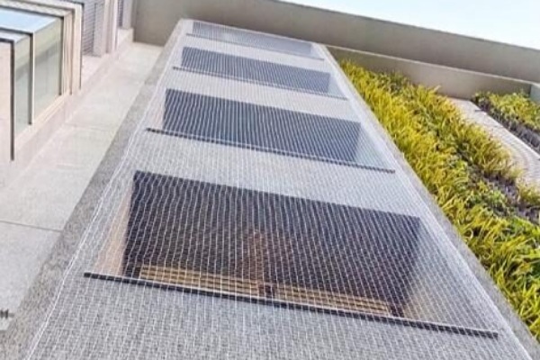 IMG_20250710_212620_(600_x_400_pixel)