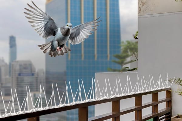 WhatsApp Image 2025-09-28 at 16.03.48_a4cd7c3d