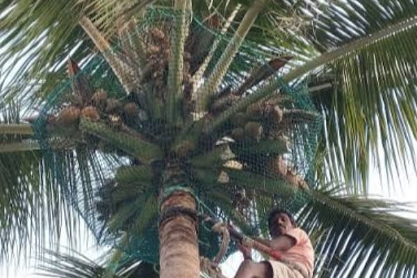 WhatsApp Image 2025-09-28 at 16.05.22_b73f6a61