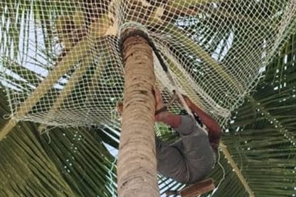 WhatsApp Image 2025-09-28 at 16.05.23_91850c03